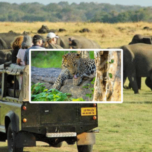 Sri Lanka Explorer – 10 Days