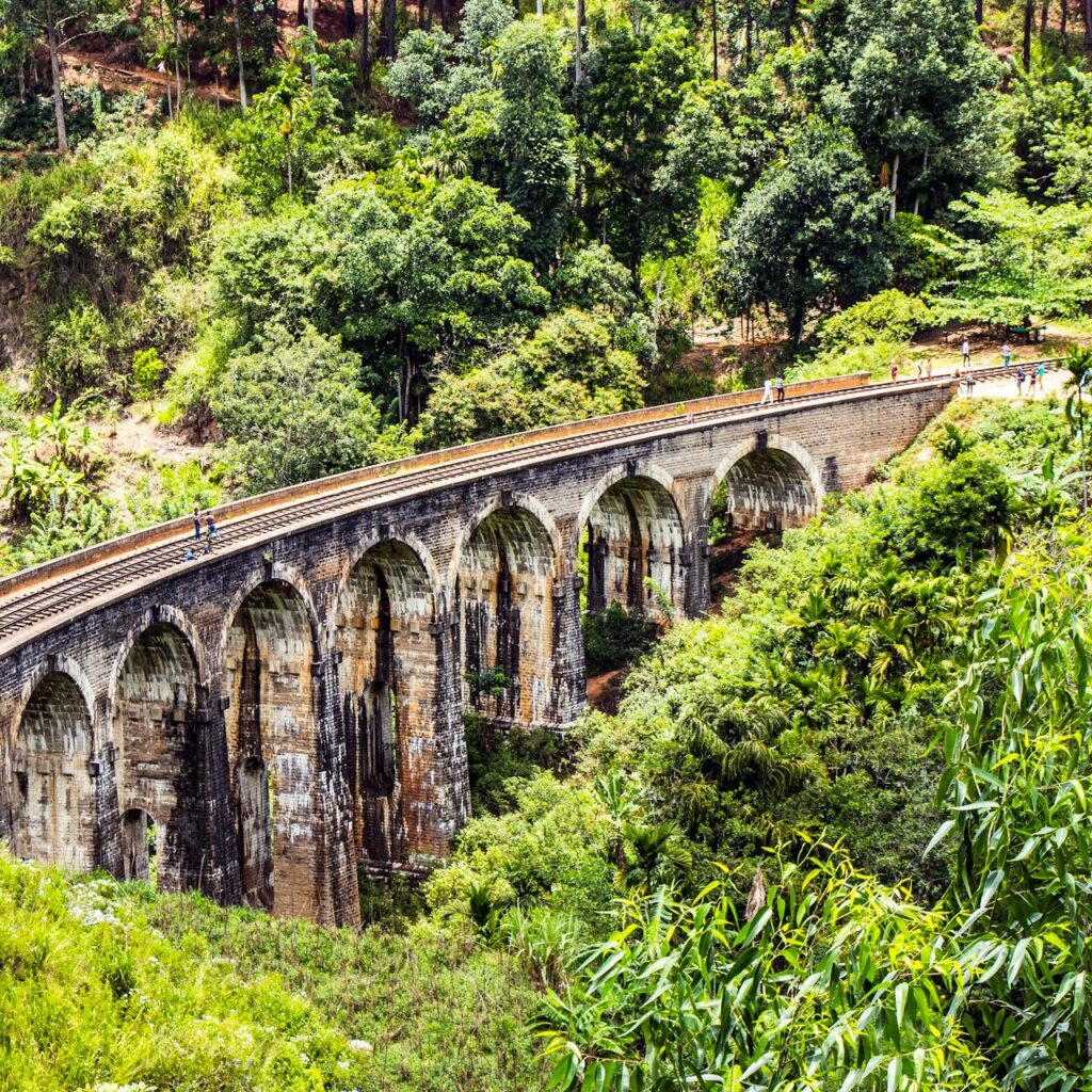 pexels-akthar-595196