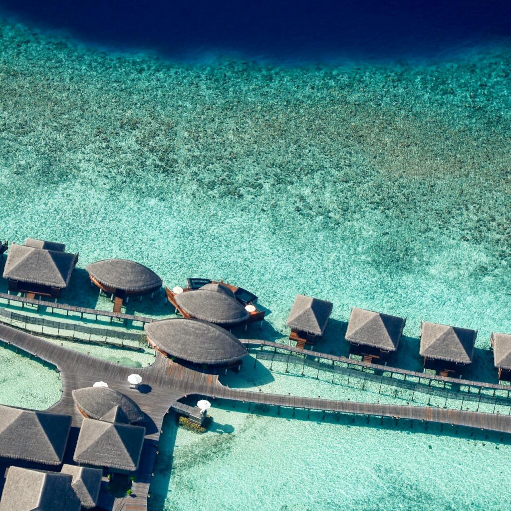 pexels-asadphoto-1456293