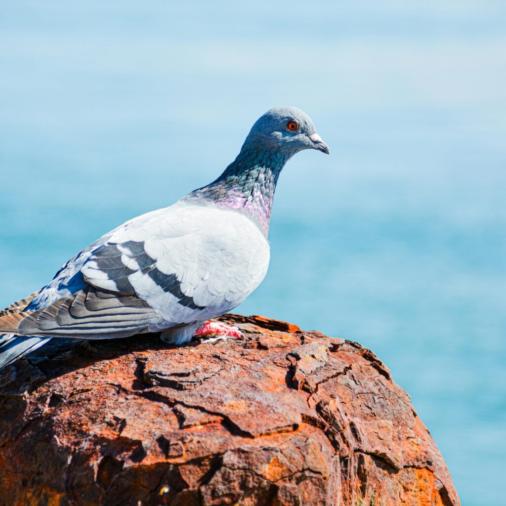 pexels-christian-reinke-197095744-34303188