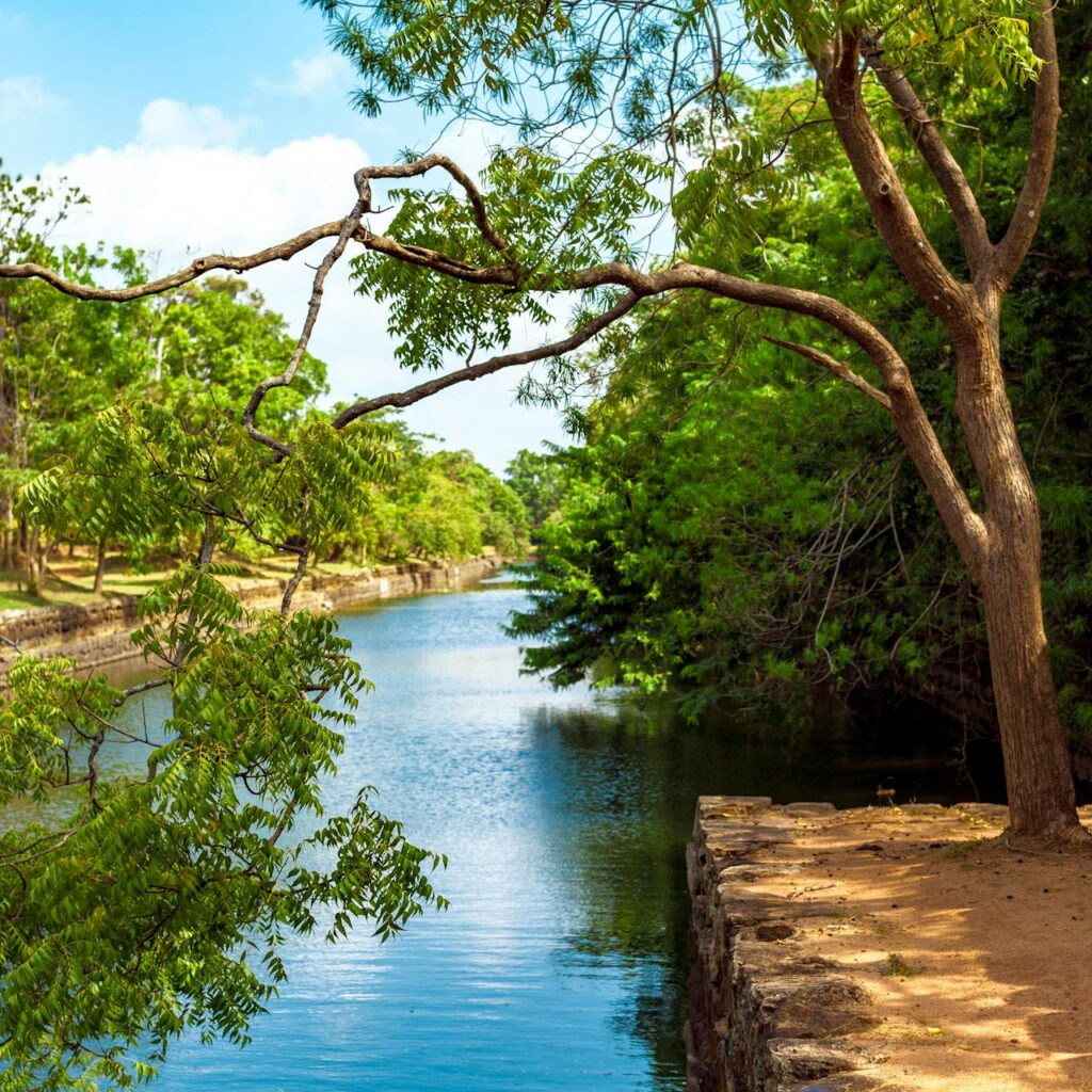 pexels-eugene-dorosh-230277-739411