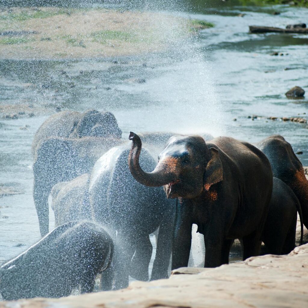 pexels-freestockpro-322480