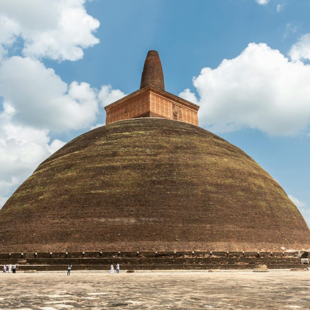 pexels-kalpa-chathuranga-3828233-6840389