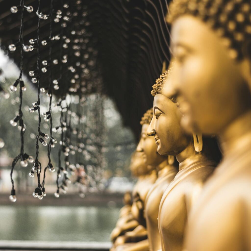 pexels-kalpa-chathuranga-3828233-6845299