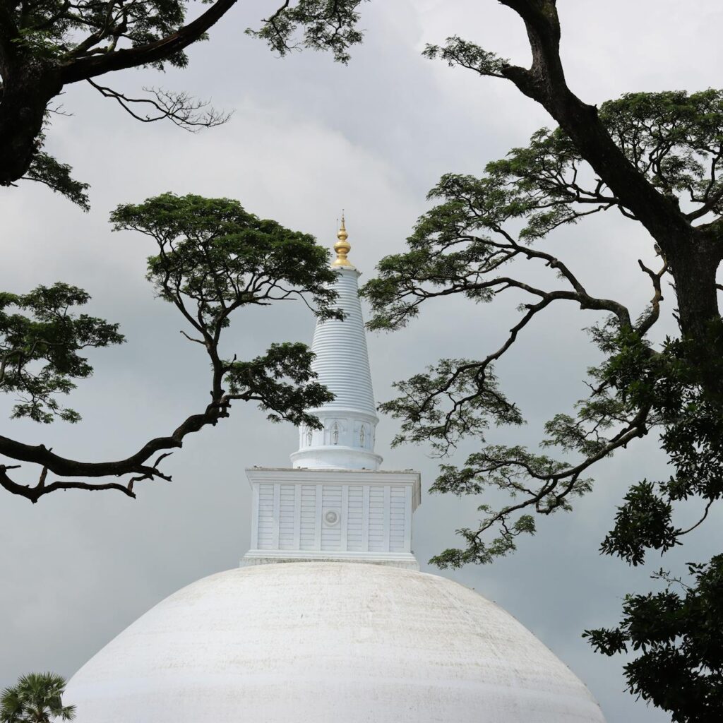 pexels-punyabumi-10638034